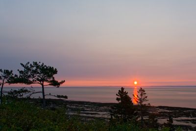 DSC_1216.jpg