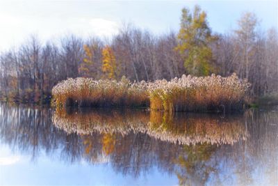 MO-Automne.jpg