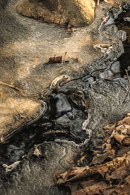 Eau - Glace - Feuilles - 1