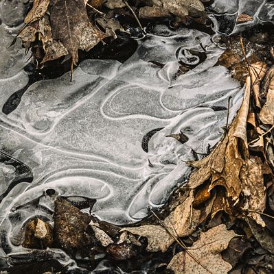 Eau - Glace - Feuilles - 2
