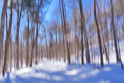 MO-Sentier de neige.JPG 24 X 20 GF