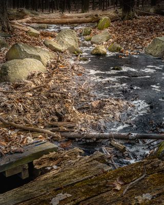 Ruisseau en fin d'hiver # 2