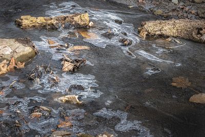 Ruisseau en fin d'hiver # 3