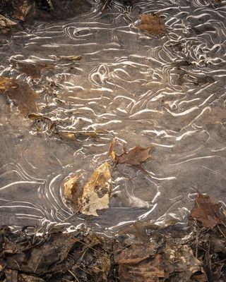Ruisseau en fin d'hiver # 4