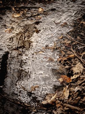 Ruisseau en fin d'hiver # 5