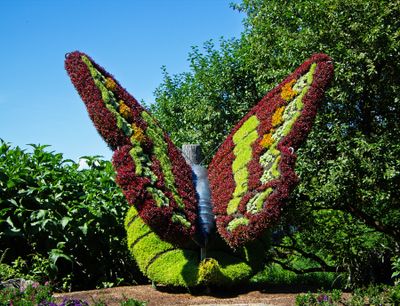 DL_IMG_8633 copie PB.jpg