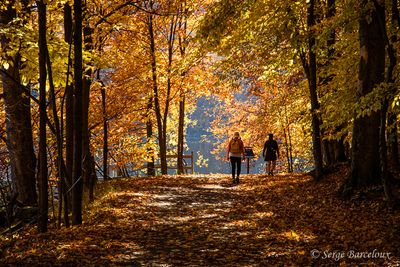 SB_Randonne automnale(24 x 20)