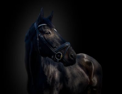 JB  Projet personnel 20X16-2.jpg