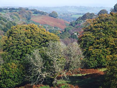 Autumn in Belstone Cleave