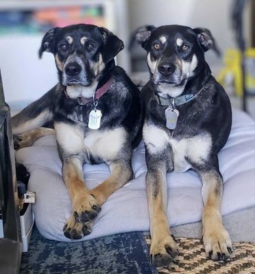 Addie and Zeke*