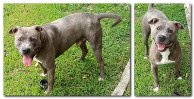 Remi*
