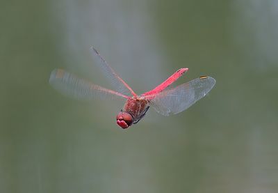 g13/55/1150655/3/173736512.4e4736c4.JPEG