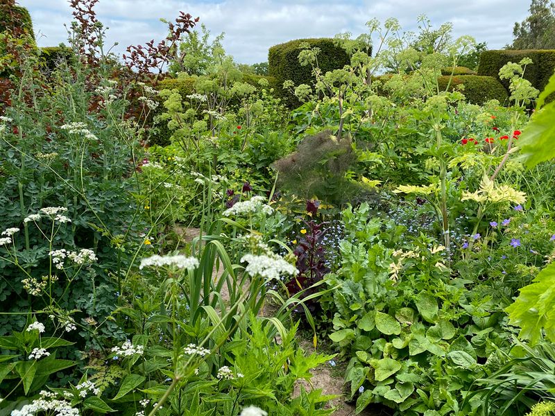 Great Dixter Trail