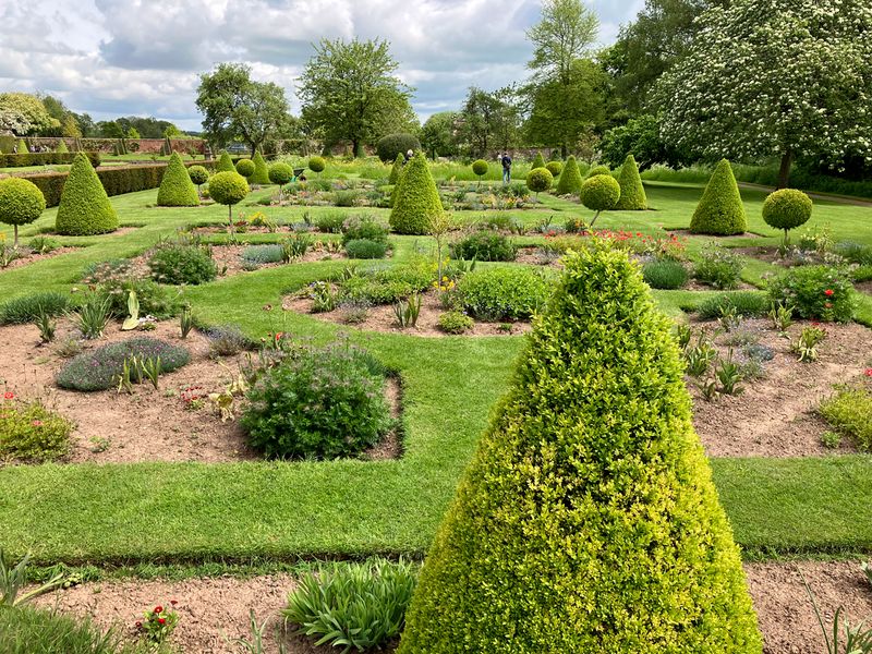 Westbury Topiary