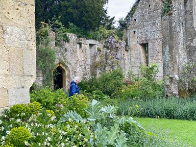 Ann at Sudeley