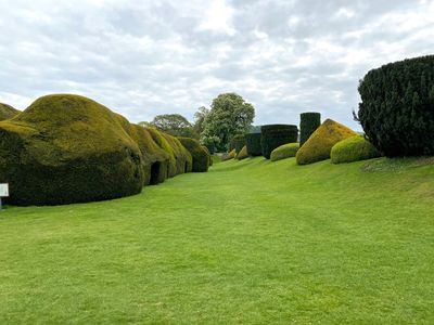 Sudeley Sculpted  Blobs