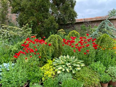 Great Dixter Pots and Poppies