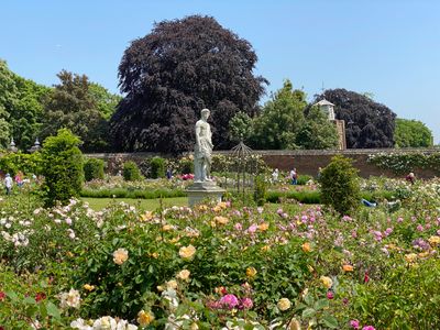 Hampton Rose Garden