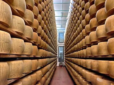 Cheese