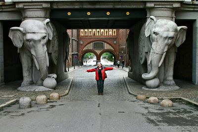 Elephant Love