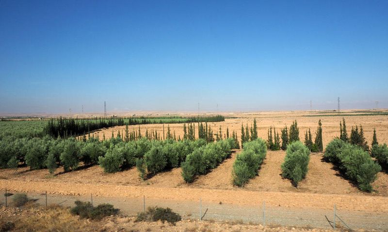 On the way from Marrakech to Agadir