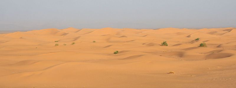 Dunes in the Sahara desert