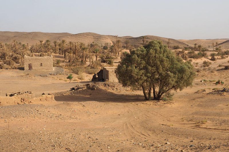 At the edge of the Sahara desert