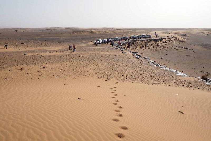 Searching for fossils near the edge of the Sahara desert