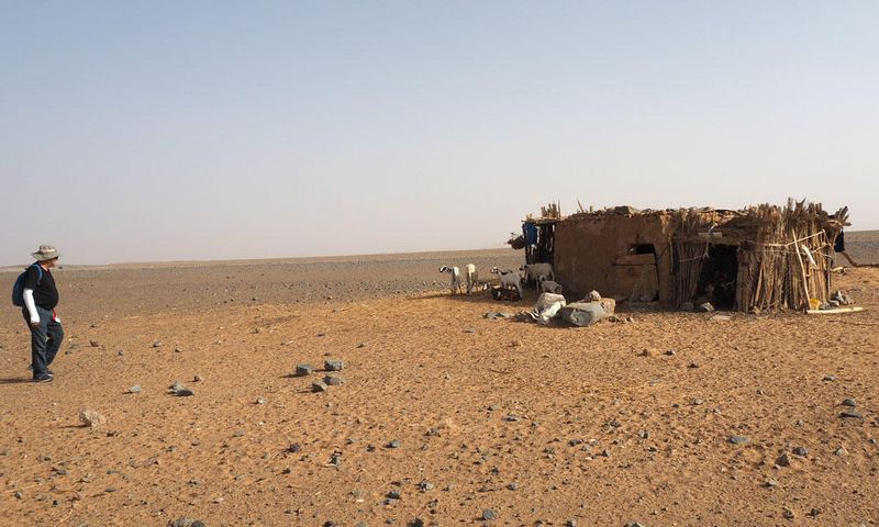 Approaching the location where the animals are kept