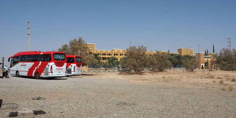 Gate1 tour buses