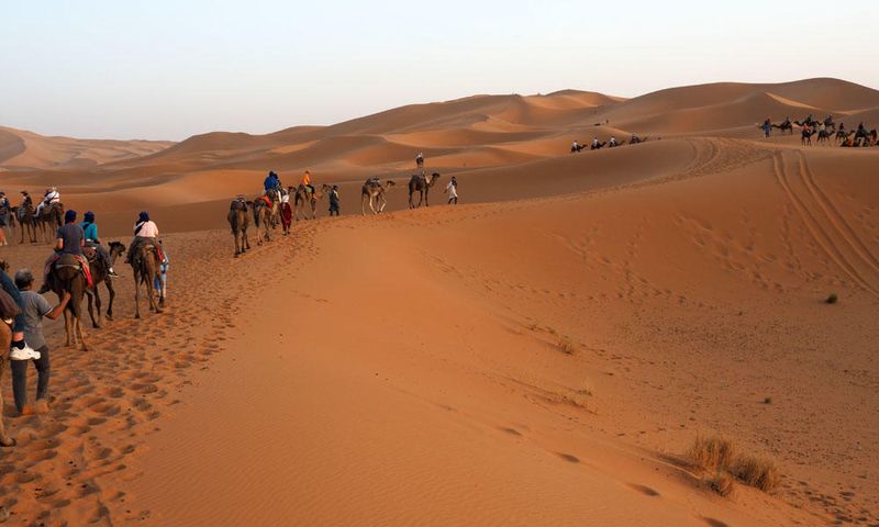 Camel ride in the Erg Chebbi in the Sahara desert