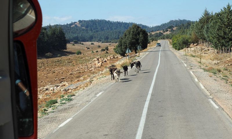 On the way from Fes to Erfoud