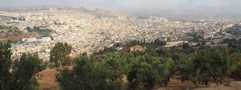 The medina of Fes seen from the Borj Sud