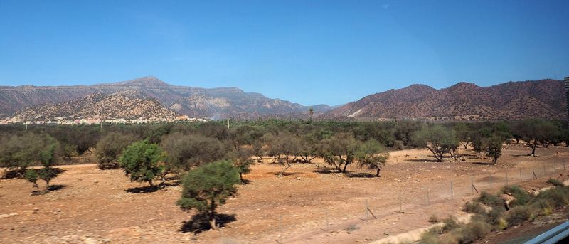 After descending from the mountains near Agadir