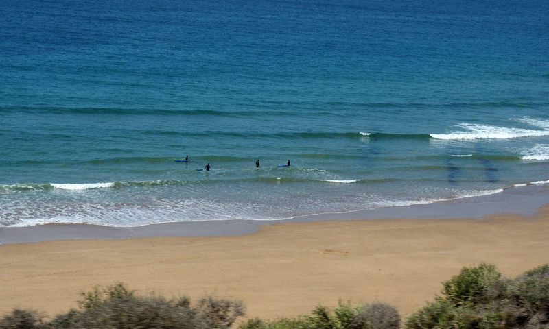 Surfing in the morning