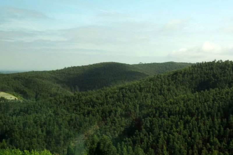 Bussaco mountain range