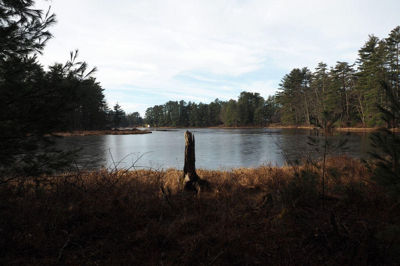 Gilman Pond