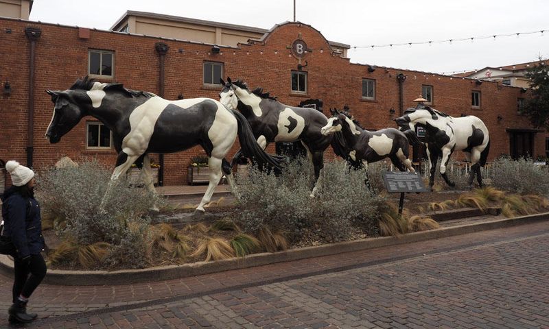 At the Fort Worth Stockyards