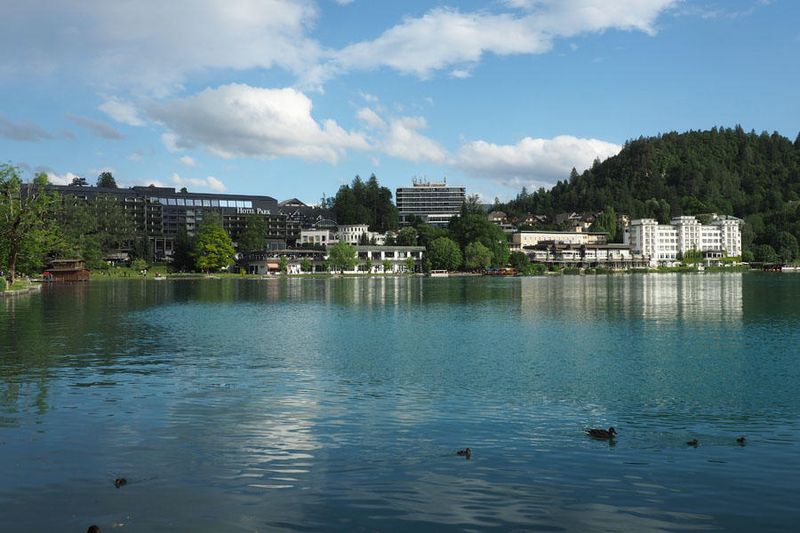 Along the shoreline of Lake Bled