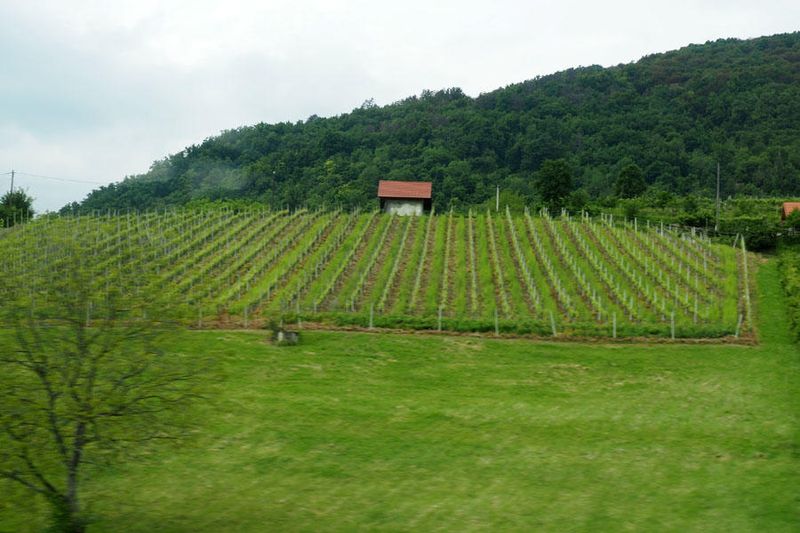 Croatian countryside
