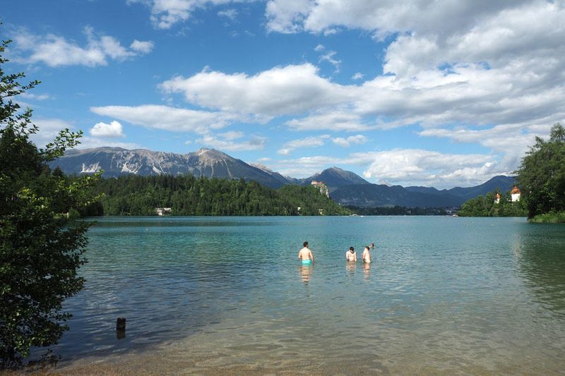 In the water in Lake Bled