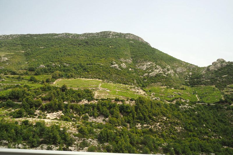Landscape of a section of the Peljesac Penninsula