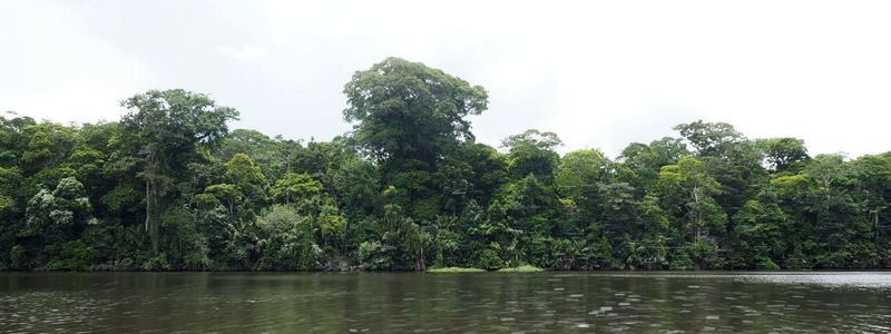 The shoreline of our waterway