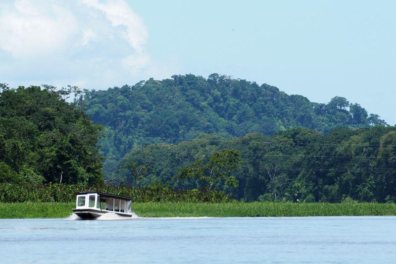 Cerro Tortuguero