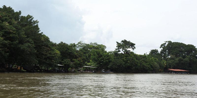 On the Parismina River