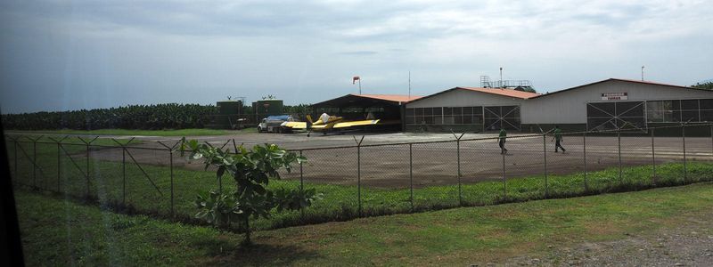 Airstrip for aircraft spraying the trees