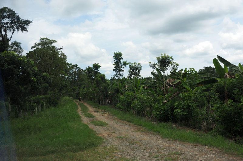 On the way from Can Blanco to Siquirres
