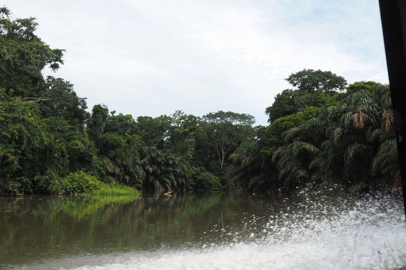 On the waterway leaving Tortuguero