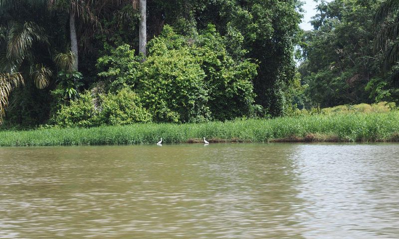 Beside the waterway