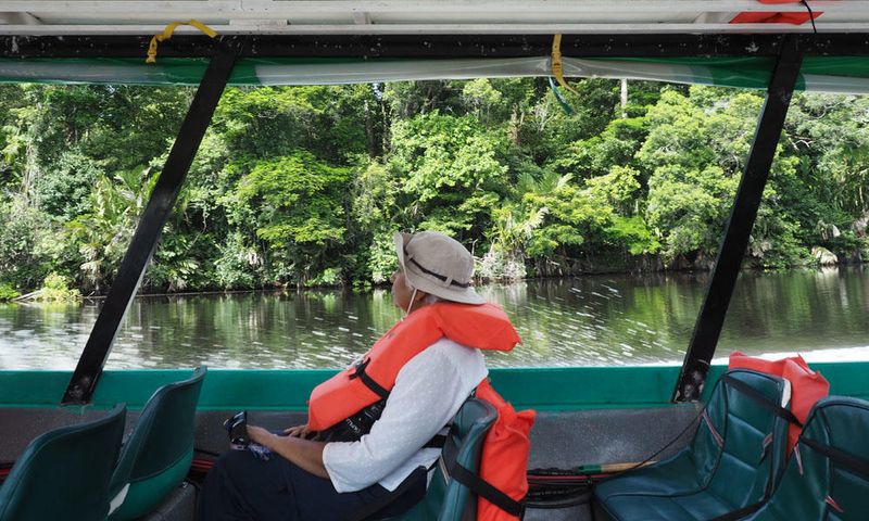 On the boat back to Cano Blanco from Tortuguero National Park
